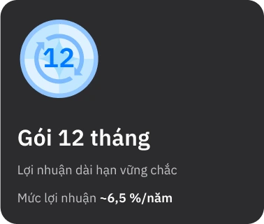 Gói đầu tư HayBond 12 tháng